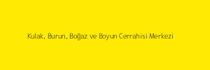 Kulak, Burun, Boğaz ve Boyun Cerrahisi Merkezi